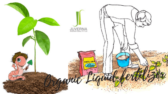 Organic Liquid fertilizer